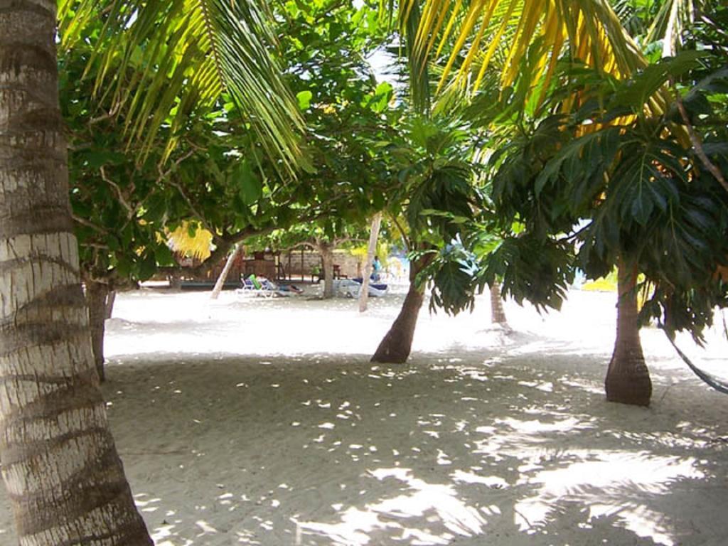 Yellow Bird Sea Hotel Negril Exterior foto